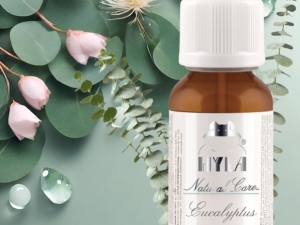 E22317 Eukalyptus aito eteerinen öljy - 20 ml