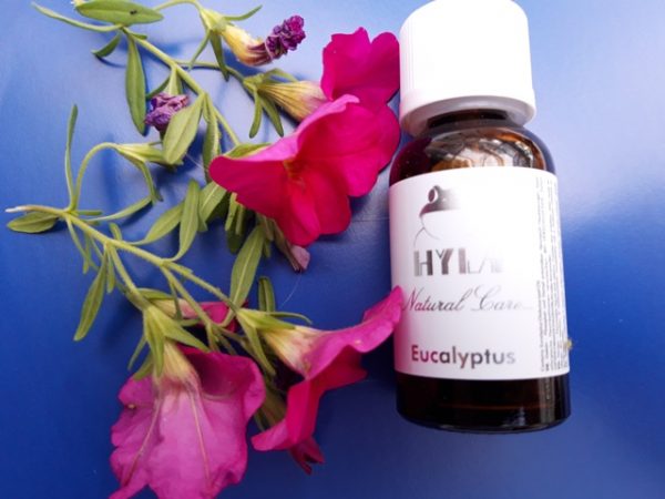 E22317 Eukalyptus aito eteerinen öljy - 20 ml - Image 3