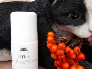 21171 Hyla deodorantti, 50 ml