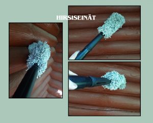 Hirsiseinien puhdistus