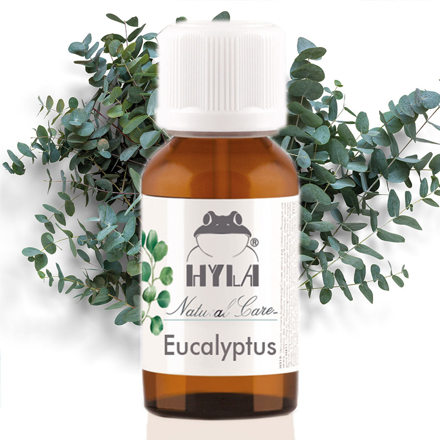 Eukalyptuksen eteerinen öljy